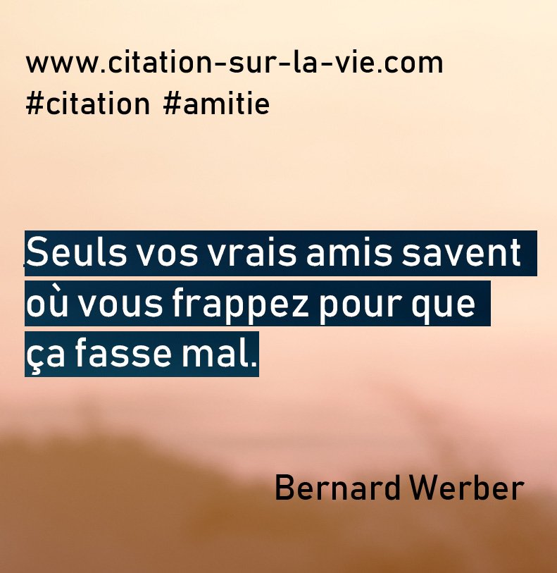 Citations Amitie Citation Sur La Vie