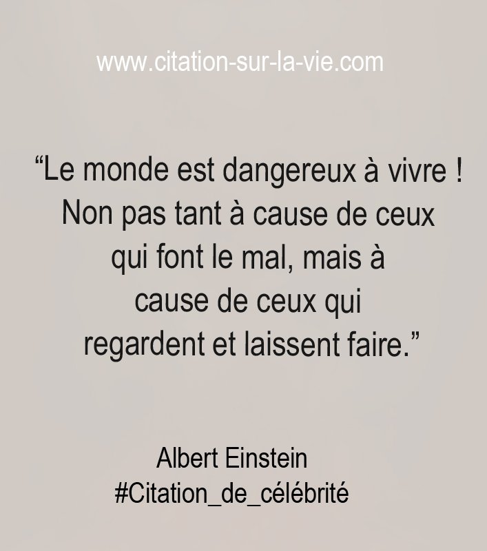 Citations D Albert Einstein