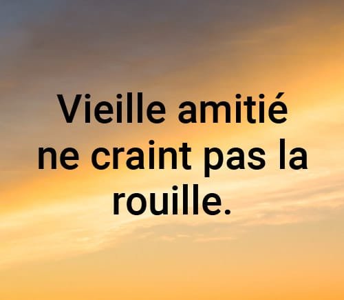 Citations Amitie Amis