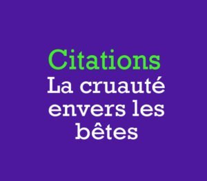 Citations Celebres